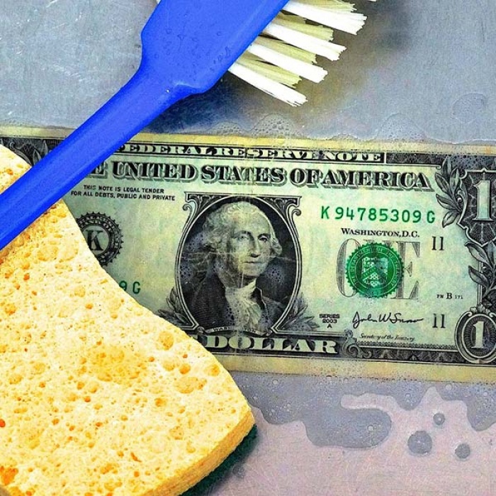 Cleaning-supplies-and-a-dollar-bill