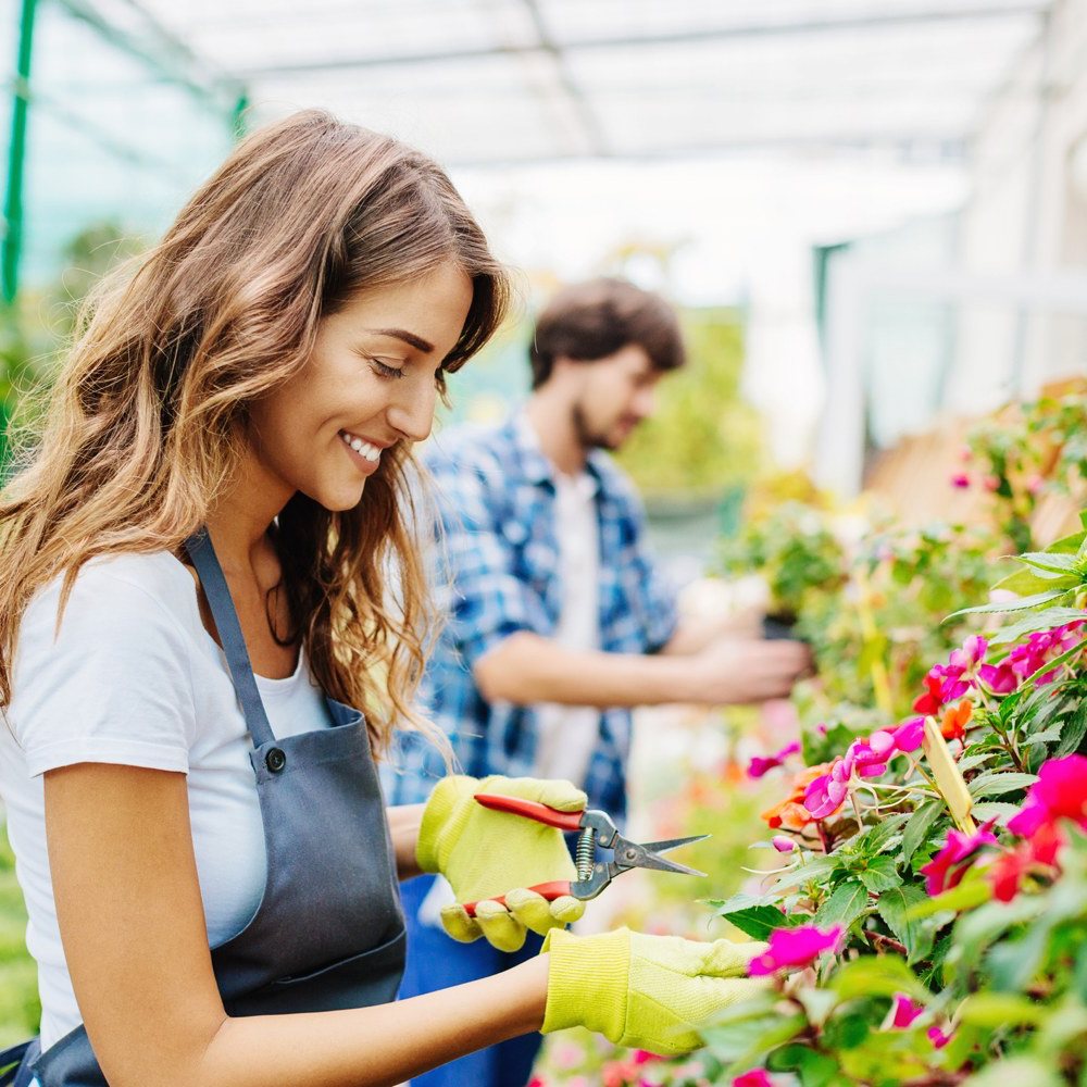 workers in garden center nursery
