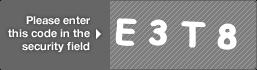 captcha code for visual authentication  letter E number 3 letter T number 8