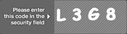 captcha code for visual authentication  letter L number 3 letter G number 8