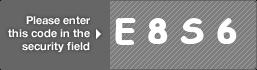 captcha code for visual authentication  letter E number 8 letter S number 6