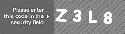 captcha code for visual authentication  letter Z number 3 letter L number 8
