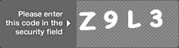 captcha code for visual authentication  letter Z number 9 letter L number 3