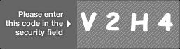 captcha code for visual authentication  letter V number 2 letter H number 4
