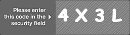 captcha code for visual authentication  number 4 letter X number 3 letter L